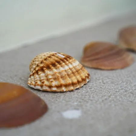 Pinheiro البوفيرا